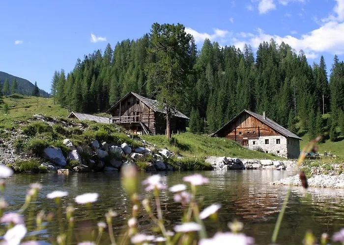 Hotel Alpin Life Lürzerhof